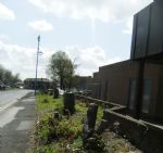SALFORD PRECINCT TREE CULL